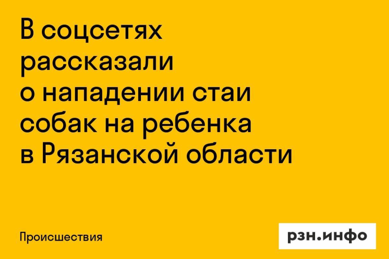 Соцсети сообщили о нападении стаи собак на ребенка в Рязанской области Соцсети сообщили о нападении стаи собак на ребенка в Рязанской области
