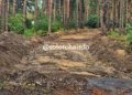 Солотчинские власти запретят парковку вдоль новой дороги к санаторию «Сосновый бор»