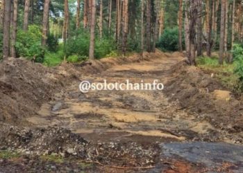 Солотчинские власти запретят парковку вдоль новой дороги к санаторию «Сосновый бор»