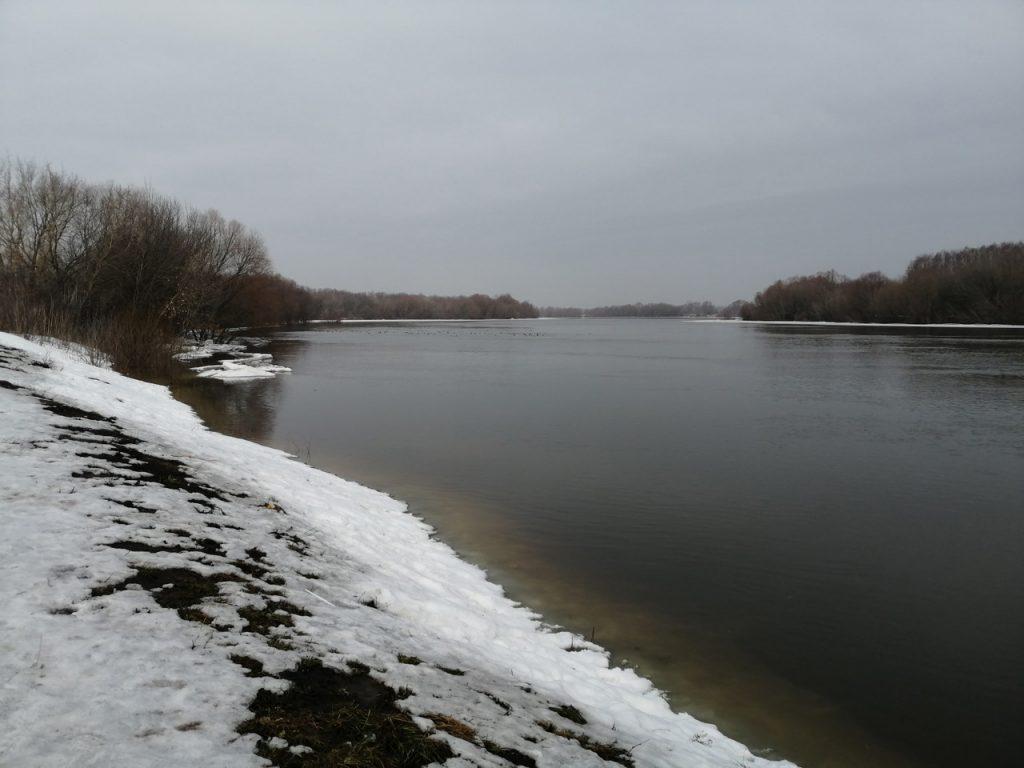В Рязани озеро Ореховое и река Ока затопили причал в Лесопарке