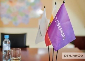 Маркетплейс посоветовал рязанским продавцам просить выплаты у властей