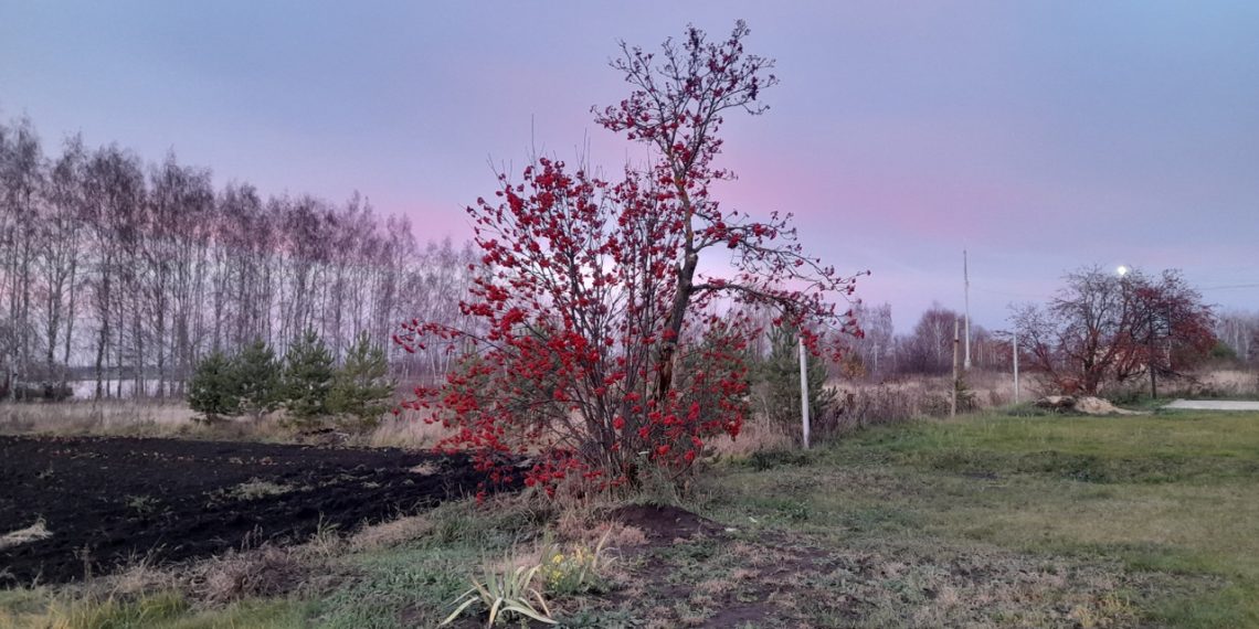9 ноября в Рязанской области ожидается до +10 градусов 9 ноября в Рязанской области ожидается до +10 градусов