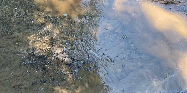 В рязанском селе Захарово воды нет уже четвертые сутки