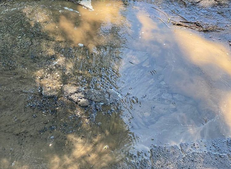 В рязанском селе Захарово воды нет уже четвертые сутки