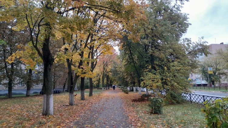 Тишковец: на этой неделе в Центральной России наступит старое бабье лето