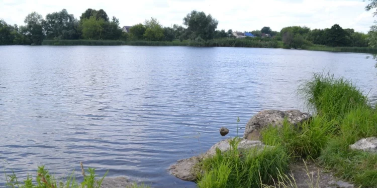 В Пронском районе утонул 48-летний нетрезвый рыбак