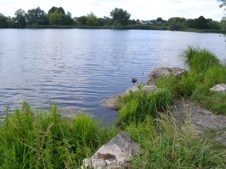 В Пронском районе утонул 48-летний нетрезвый рыбак