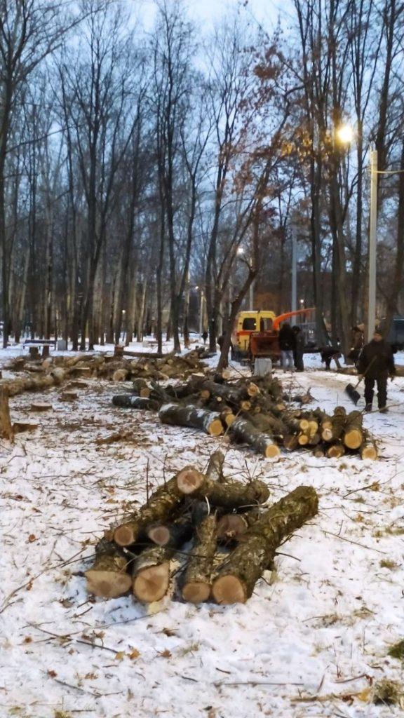 Рязанцы сообщили о массовой вырубке деревьев парке имени Гагарина