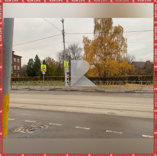 Рязанцы пожаловались на вырубку деревьев на улице Горького