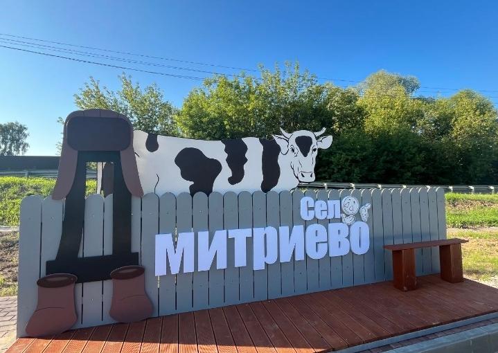 В деревне Дмитриево Касимовского округа открылось новое общественное пространство