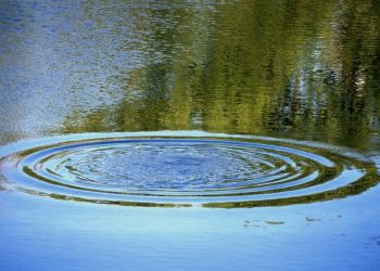 В Рюминском пруду утонула 21-летняя рязанка