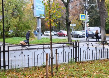 Рязанский губернатор Малков: Единый день озеленения пройдет во всех муниципалитетах Рязанский губернатор Малков: Единый день озеленения пройдет во всех муниципалитетах