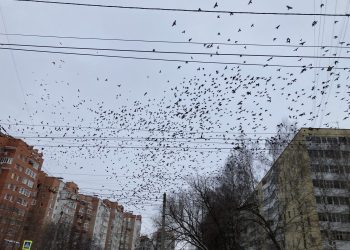 В Рязани обнаружили загрязнение воздуха