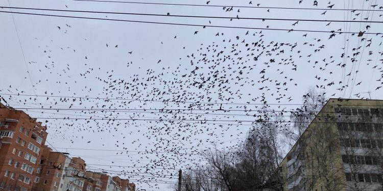 В Рязани обнаружили загрязнение воздуха
