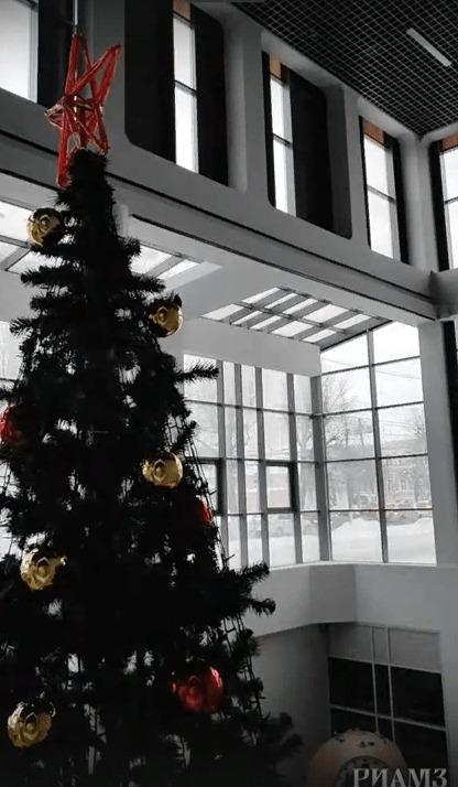 В Музейном центре на Соборной установили новогоднюю елку