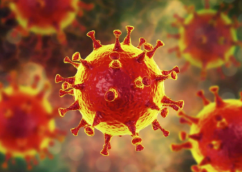 ВОЗ: коронавирус продолжает мутировать ВОЗ: коронавирус продолжает мутировать