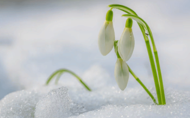 До 20 марта в Рязанской области ожидаются зимние холода