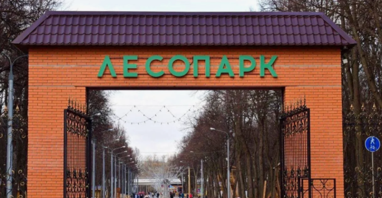 Рязанцы планируют собрать байдарку длиной 51 метр для включения в Книгу рекордов России