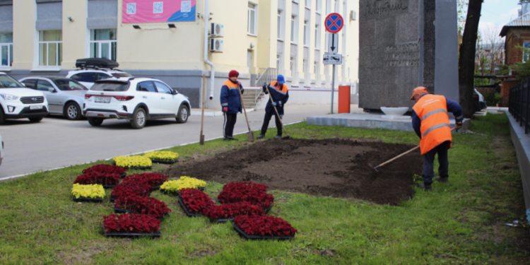 В центре Рязани высадили колеус и петунию В центре Рязани высадили колеус и петунию