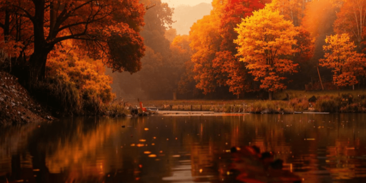 В четверг в Рязанской области ожидается до +23 градусов