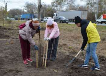 В рязанском Дягилеве высадили 20 саженцев лип