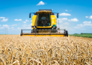 В сфере сельского хозяйства в Рязанской области не хватает кадров