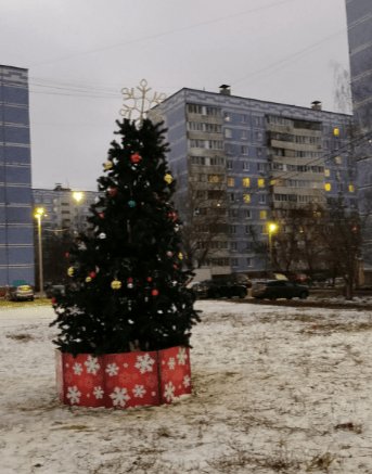 Рязанцы остались недовольны новогодней елкой, установленной в Недостоеве