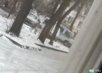 13 декабря у рязанской школы №22 засняли машины силовиков