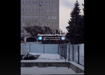Горожане сообщили о вырубке елей возле Рязанского театра кукол Горожане сообщили о вырубке елей возле Рязанского театра кукол