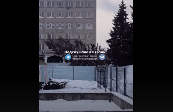 Директор Рязанского театра кукол Кириллов отреагировал вырубку елей около учреждения