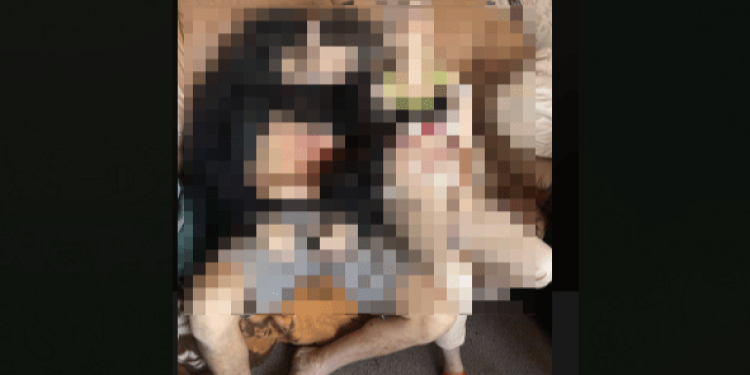 В квартире на улице Советской Армии обнаружили трупы мужчины и женщины В квартире на улице Советской Армии обнаружили трупы мужчины и женщины