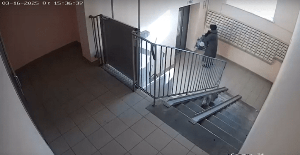 На улице Шереметьевской женщина принесла в подъезд дома кота в пакете и оставила его