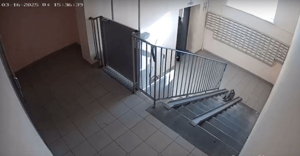 На улице Шереметьевской женщина принесла в подъезд дома кота в пакете и оставила его