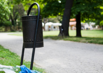 Мэрия: половину урн на рязанских улицах необходимо заменить