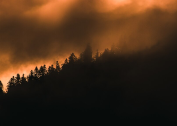 В Рязанском регионе установлен III класс пожарной опасности