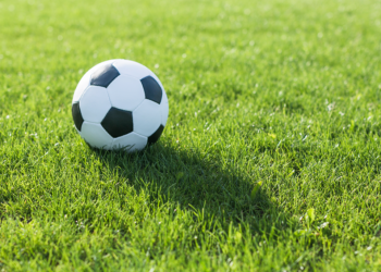 Две спортшколы в Рязанской области получат два микроавтобуса