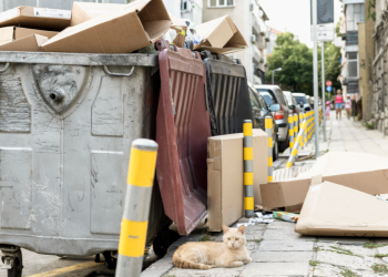 На ликвидацию несанкционированных свалок в Рязани потратят 5 миллионов рублей На ликвидацию несанкционированных свалок в Рязани потратят 5 миллионов рублей