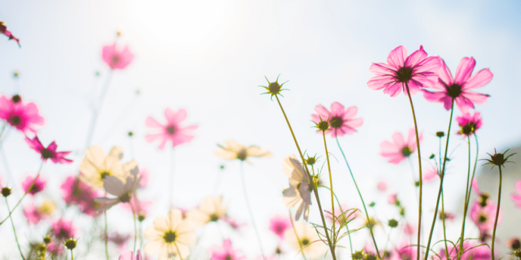 Синоптик Тишковец: лето вернется в Центральную Россию только в июле