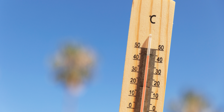 В среду в Рязанской области ожидается до +35 градусов