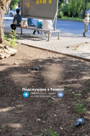 Туристка, приехавшая в Рязань, сообщила о мертвых голубях
