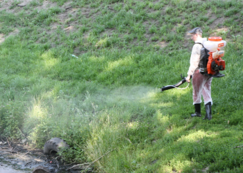 В Рязани обработают 28 городских водоемов от личинок комаров