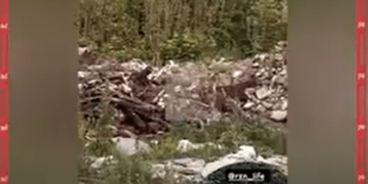 Рязанцы засняли стихийную свалку около реки Трубеж