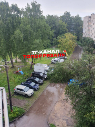 В Рязани на припаркованные автомобили упало дерево