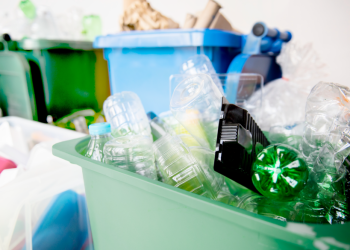 В Рязани с территории Кузьмина оврага вывезли 35 тысяч кубометров мусора В Рязани с территории Кузьмина оврага вывезли 35 тысяч кубометров мусора