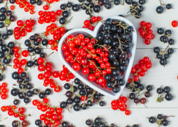 Рязанский Россельхознадзор выявил превышение уровня пестицидов в смородине Рязанский Россельхознадзор выявил превышение уровня пестицидов в смородине