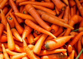 Врач Якимова: капуста и морковь - лидеры среди сезонных овощей по восполнению дефицита витаминов Врач Якимова: капуста и морковь — лидеры среди сезонных овощей по восполнению дефицита витаминов