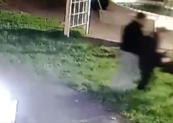 В рязанском поселке Гусь-Железный подростки украли скульптуру гуся