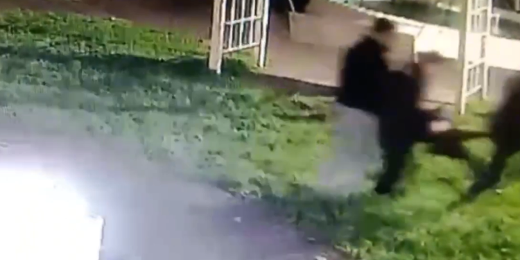 В рязанском поселке Гусь-Железный подростки украли скульптуру гуся В рязанском поселке Гусь-Железный подростки украли скульптуру гуся