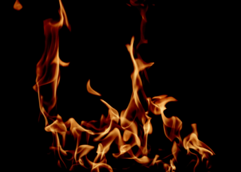 В Рязанской области отменили особый противопожарный режим В Рязанской области отменили особый противопожарный режим