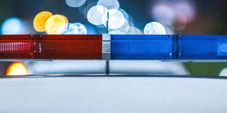 1 октября в Рязанской области проходит рейд по подложным номерам